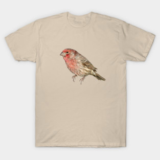 House Finch Song Bird Colorful Illustration T-Shirt