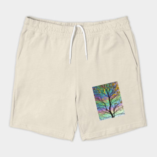 Albus Shorts