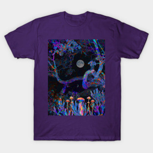 5th Dimension T-Shirt