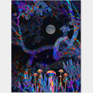 5th Dimension Posters and Art