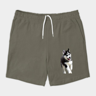 Siberian Husky Puppy Dog Shorts