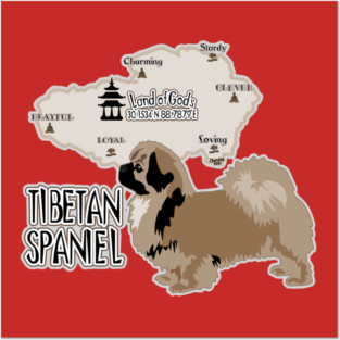 Tibetan Spaniel Posters and Art