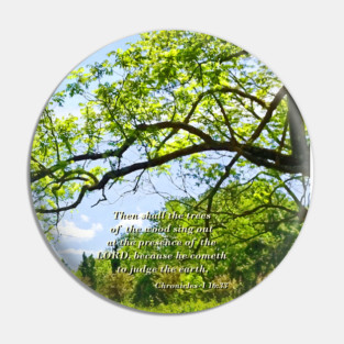 Chronicles-1 16:33 Pin