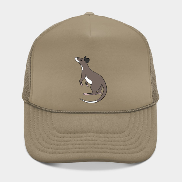 Gambian Pouched Rat by DeguArts