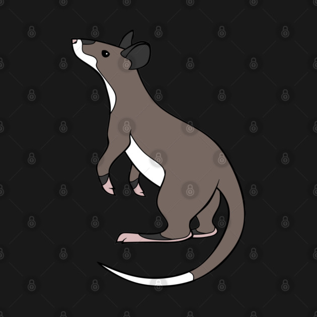 Gambian Pouched Rat by DeguArts