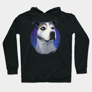 PITBULL DOG Hoodie