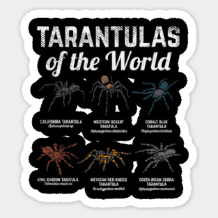 Tarantulas of the world - Funny Tarantula Owner gift Sticker