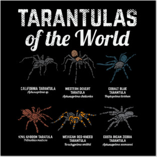 Tarantulas of the world - Funny Tarantula Owner gift Posters and Art