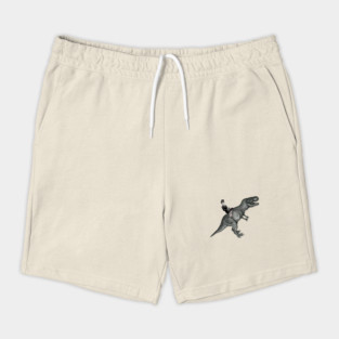 Lady and T rex dinosaurus Shorts