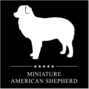 Miniature American Shepherd Dog White Silhouette Posters and Art