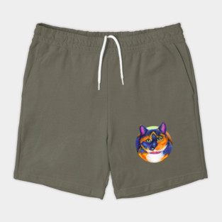 Colorful Calico Cat Shorts