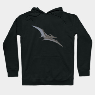 Pterodactyl Dinosaur Hoodie