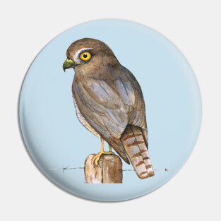 sparrow-hawk Pin