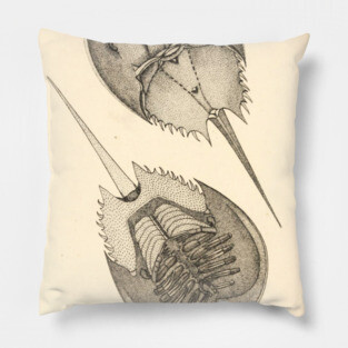 Horseshoe Crab Pillow