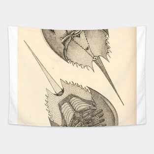 Horseshoe Crab Tapestry