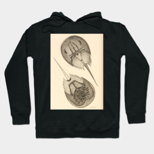 Horseshoe Crab Hoodie