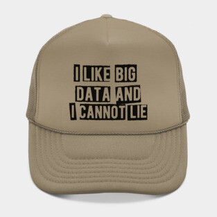 Data analyst - I like big data and cannot lie Hat