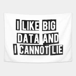 Data analyst - I like big data and cannot lie Tapestry