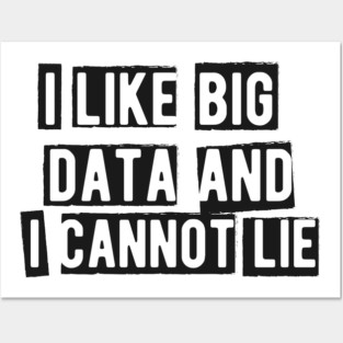 Data analyst - I like big data and cannot lie Posters and Art