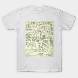Fossil Chart T-Shirt