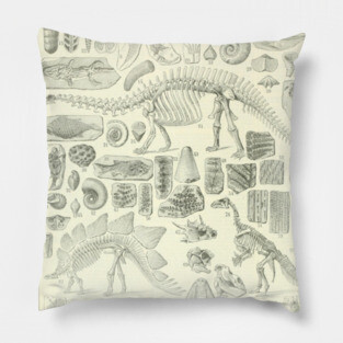 Fossil Chart Pillow