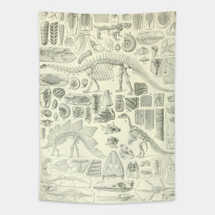 Fossil Chart Tapestry