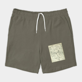 Fossil Chart Shorts