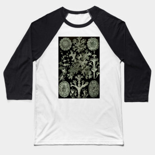 Naturalist Lichen Baseball T-Shirt