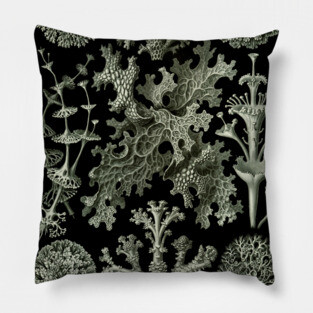 Naturalist Lichen Pillow