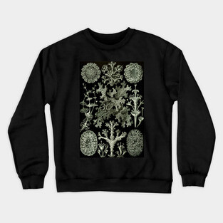 Naturalist Lichen Crewneck Sweatshirt