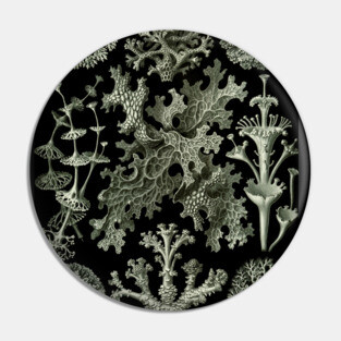 Naturalist Lichen Pin