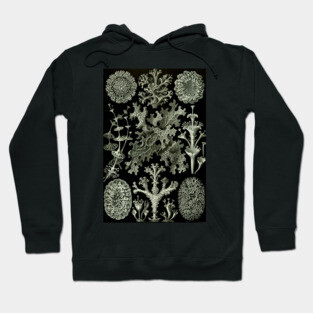 Naturalist Lichen Hoodie