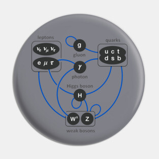 Standard Model Particles Higgs Boson Physics Theory Pin