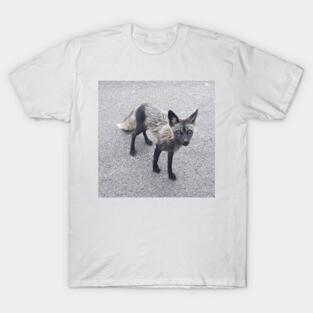Silver Fox T-Shirt