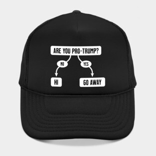 Are You Pro-Trump- Funny Anti-Trump Flowchart Hat