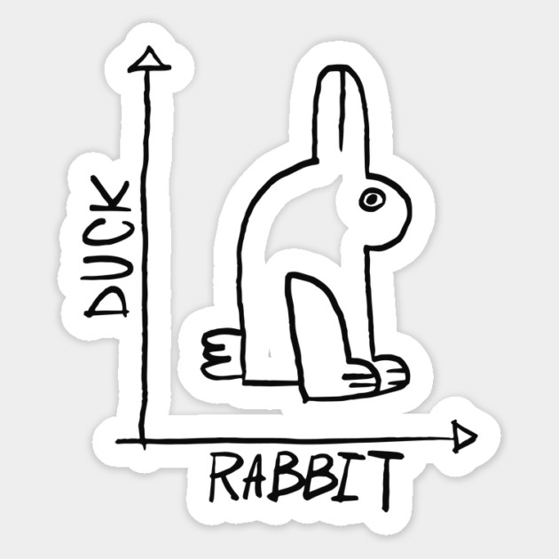 Duck Or Rabbit Magnet by Cosmo Gazoo