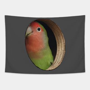 Parakeet Illusion Tapestry