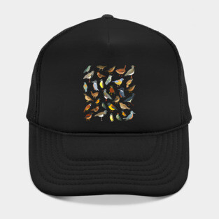 Great collection of birds illustrations Hat