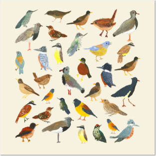 Great collection of birds illustrations Posters and Art