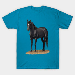 Beautiful Black Quarter Horse Stallion T-Shirt