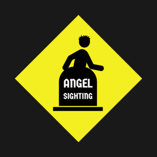 Angel Sighting T-Shirt