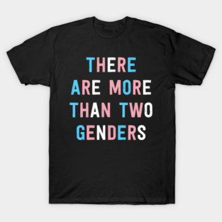 There Are More Than 2 Genders T-Shirt