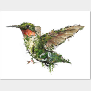 Ruby Throated Hummingbird Posters and Art