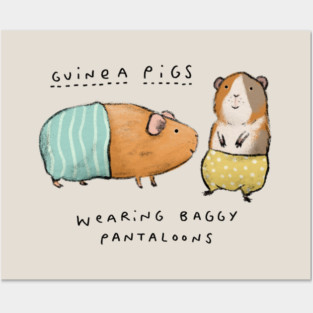 Guinea Pigs Wearing Baggy Pantaloons Posters and Art
