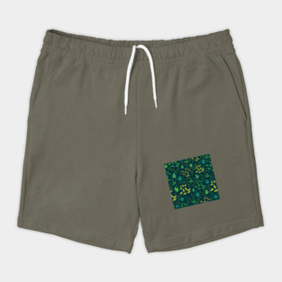 Hawaii Shorts
