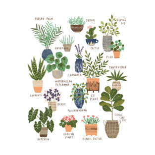 Urban Garden T-Shirt