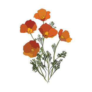 California Poppies T-Shirt