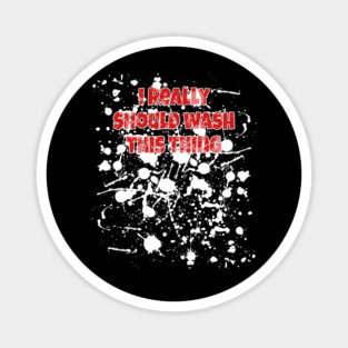 I Really Should Wash This Thing Sex Rag Magnet