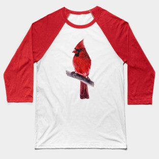 Cardinal - bird painting Baseball T-Shirt