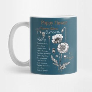 Poppy Flower - Botanical illustration with scientific classification. Mug